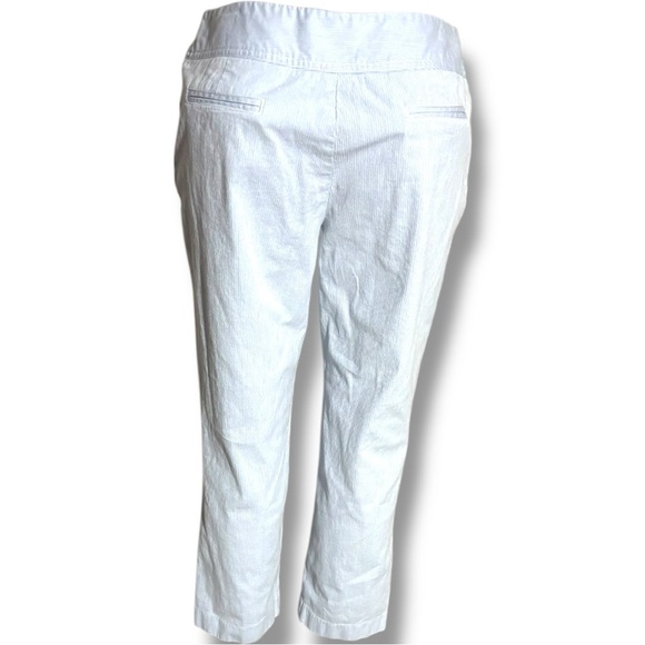 Rafaella Blue and White Pinstriped High Rise Cropped Capri Trousers with Buttons - Picture 16 of 16